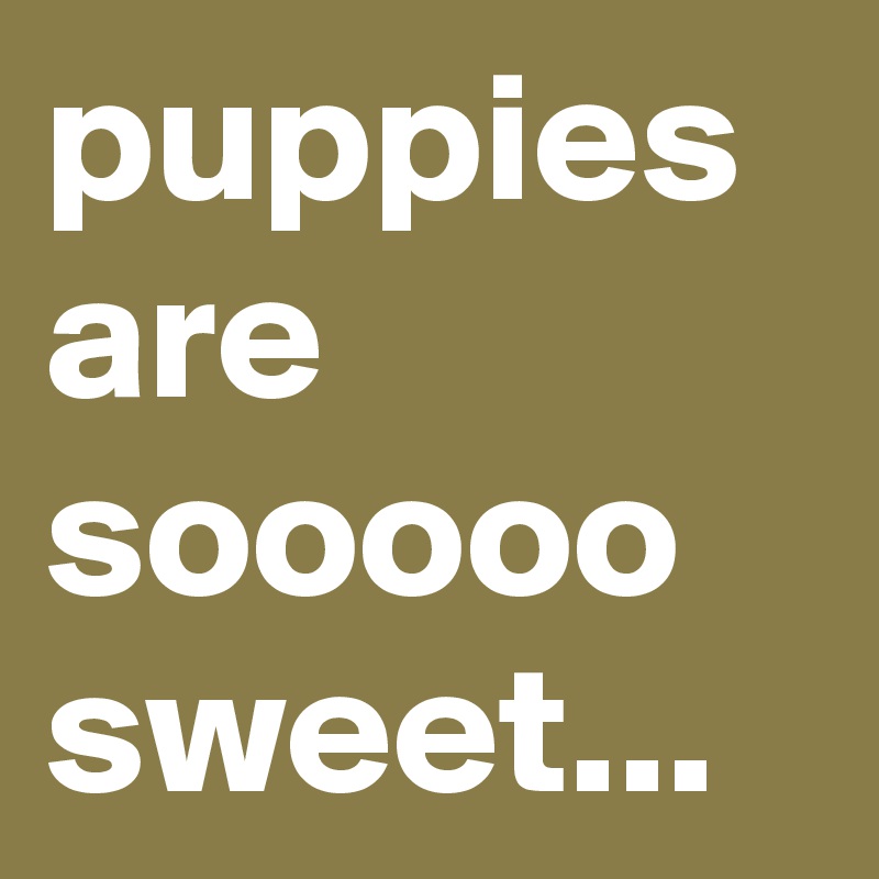 puppies are sooooo
sweet...