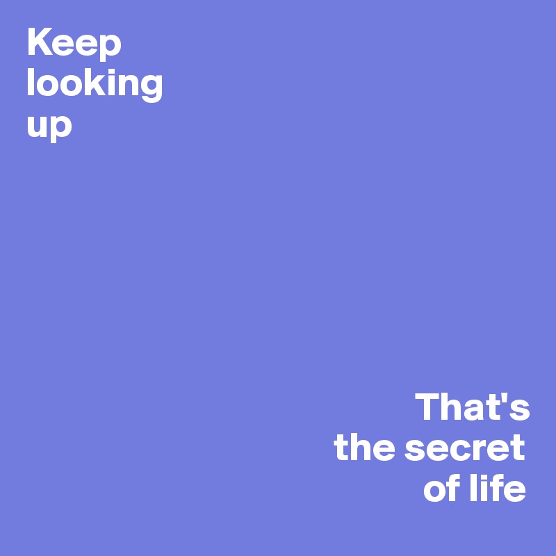Keep Looking Up That S The Secret Of Life Post By Babs 77 On Boldomatic