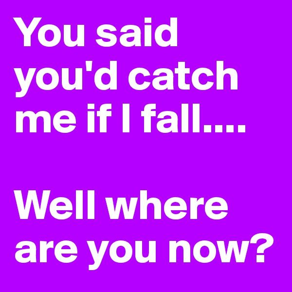 You said you'd catch me if I fall....

Well where are you now?
