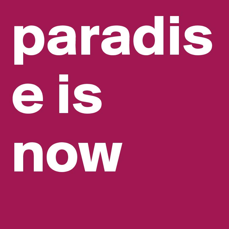 paradise is now