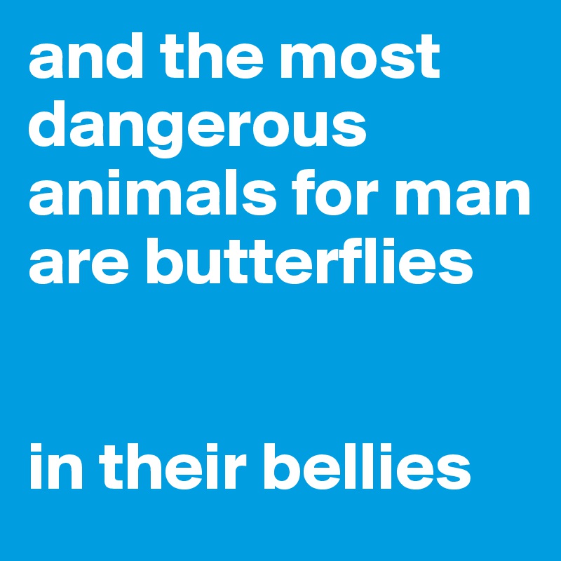 and the most dangerous animals for man are butterflies


in their bellies
