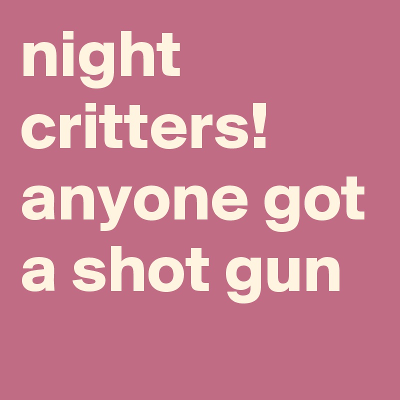 night critters! anyone got a shot gun