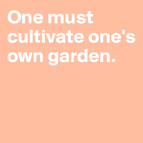One must cultivate one's own garden. 



