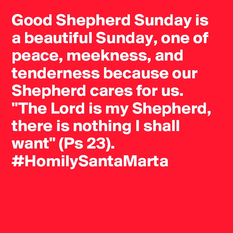 Good Shepherd Sunday is a beautiful Sunday, one of peace, meekness, and tenderness because our Shepherd cares for us. "The Lord is my Shepherd, there is nothing I shall want" (Ps 23). #HomilySantaMarta