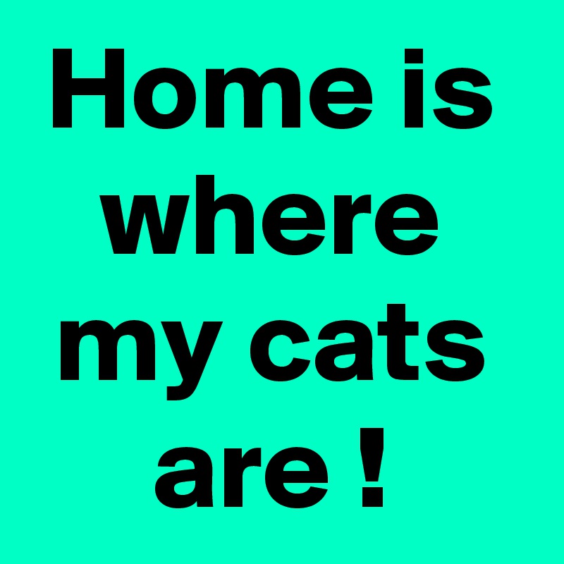 Home is where my cats are !