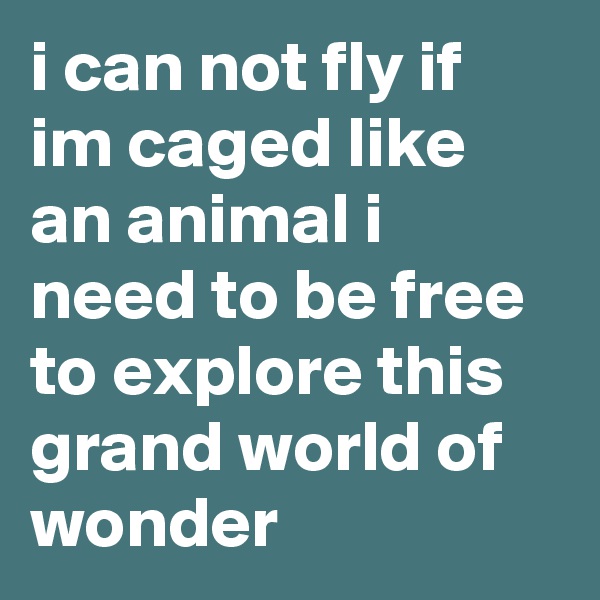 i can not fly if im caged like an animal i need to be free to explore this grand world of wonder
