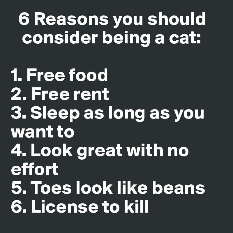   6 Reasons you should   
   consider being a cat:

1. Free food
2. Free rent 
3. Sleep as long as you want to 
4. Look great with no effort 
5. Toes look like beans 
6. License to kill