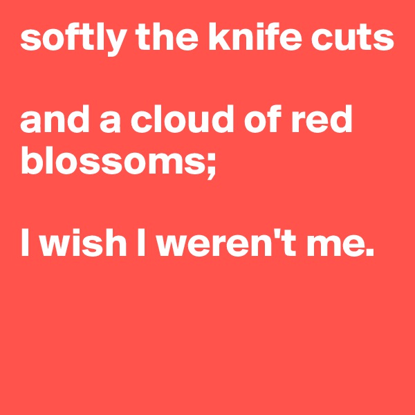 softly the knife cuts

and a cloud of red blossoms;

I wish I weren't me.

