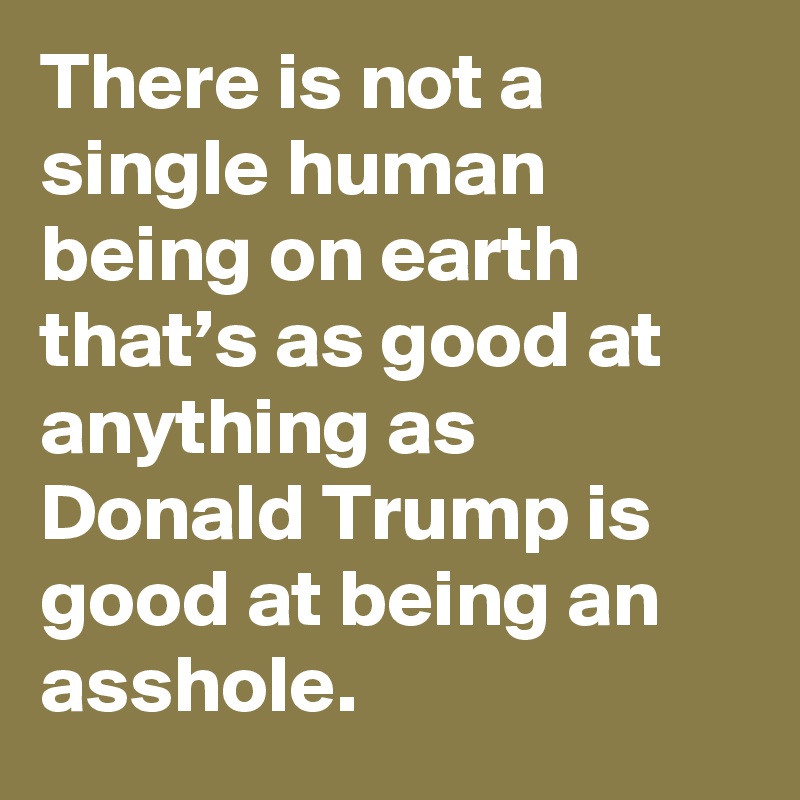 There is not a single human being on earth that’s as good at anything as Donald Trump is good at being an asshole.
