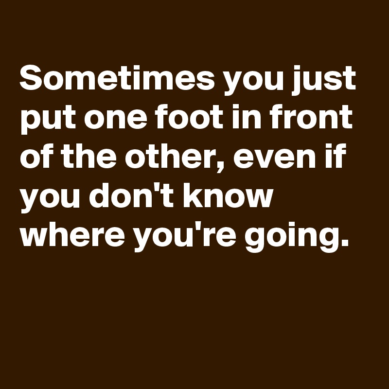 Sometimes You Just Put One Foot In Front Of The Other Even If You Don T Know Where You Re Going Post By Schnudelhupf On Boldomatic