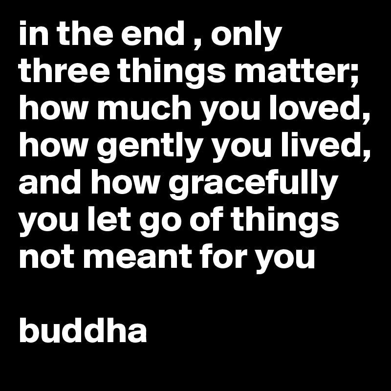 in the end , only three things matter;
how much you loved, how gently you lived, and how gracefully you let go of things not meant for you

buddha