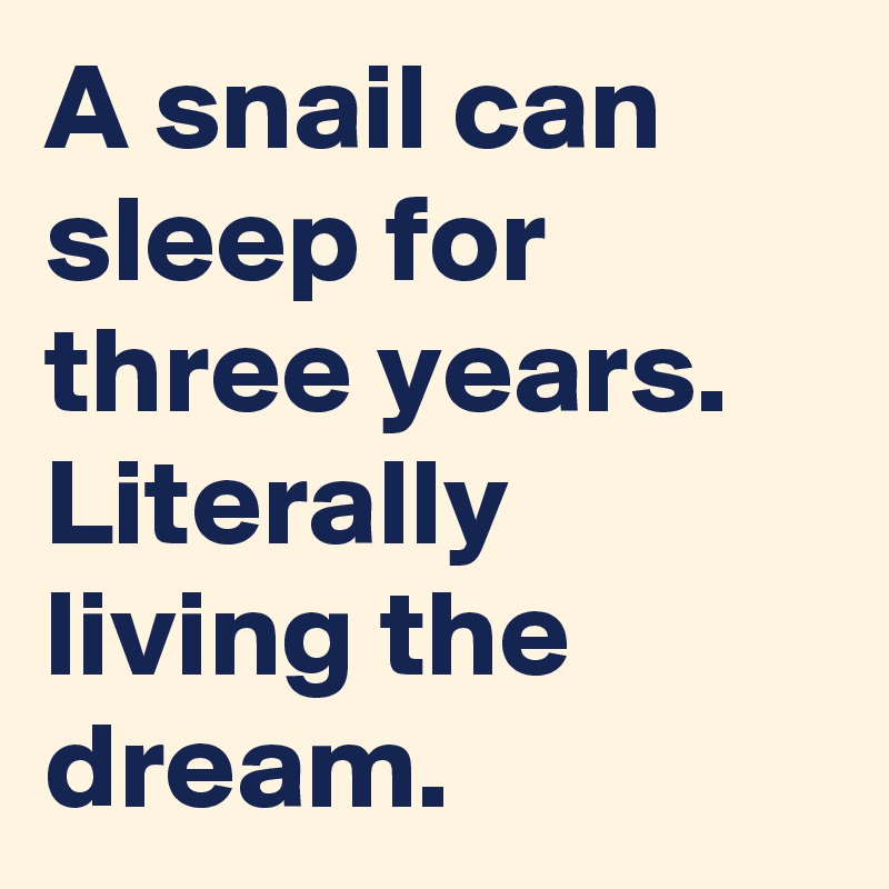 A snail can sleep for three years. Literally living the dream.
