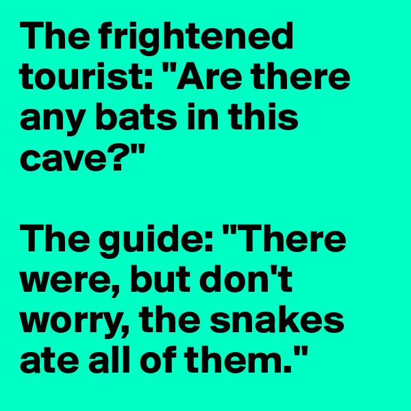 The frightened tourist: "Are there any bats in this cave?" 

The guide: "There were, but don't worry, the snakes ate all of them."