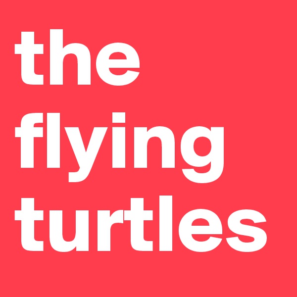 the flying turtles