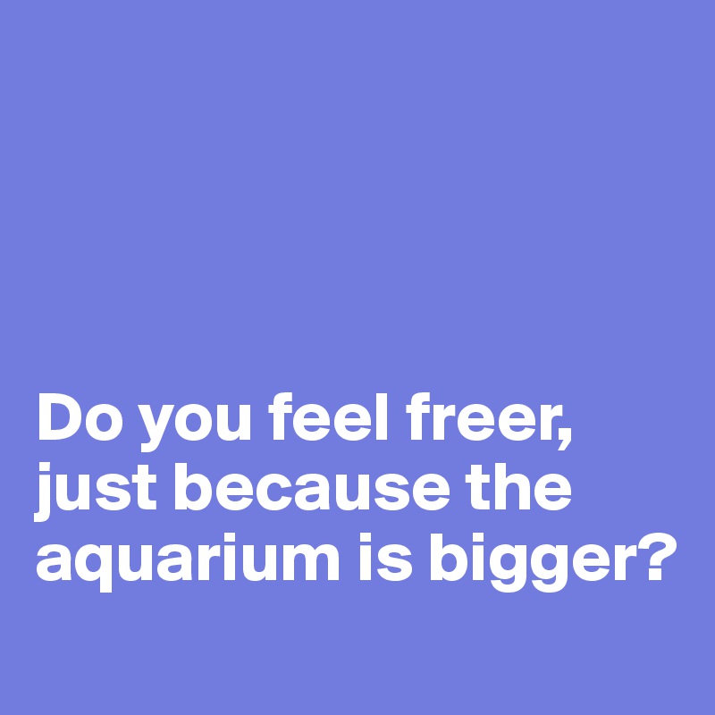 




Do you feel freer,
just because the aquarium is bigger?