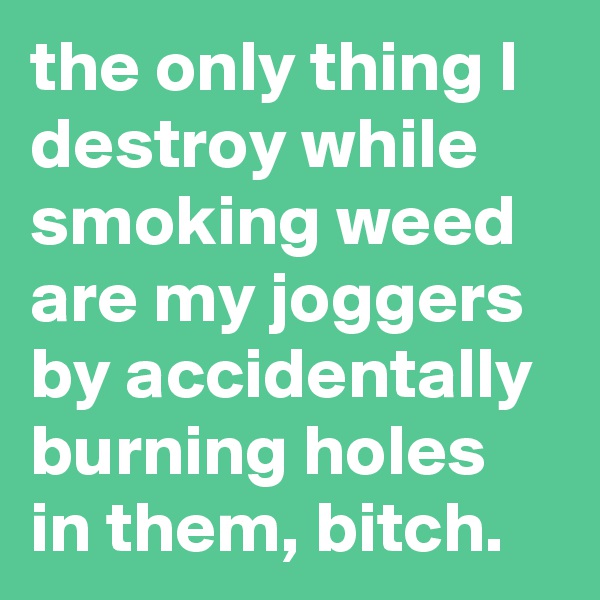 the only thing I destroy while smoking weed are my joggers by accidentally burning holes in them, bitch.