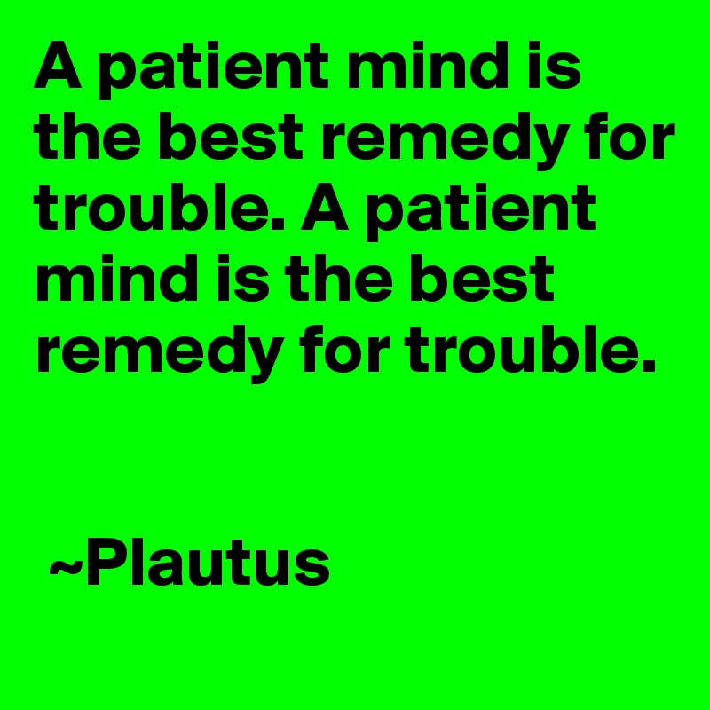 A patient mind is the best remedy for trouble. A patient mind is the best remedy for trouble.


 ~Plautus 