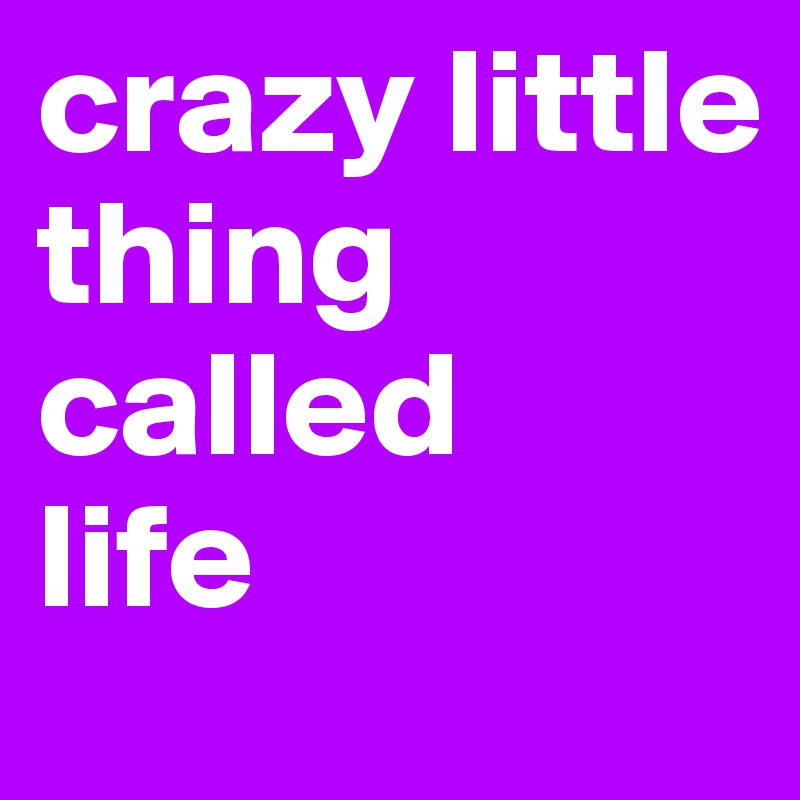 crazy little
thing
called
life