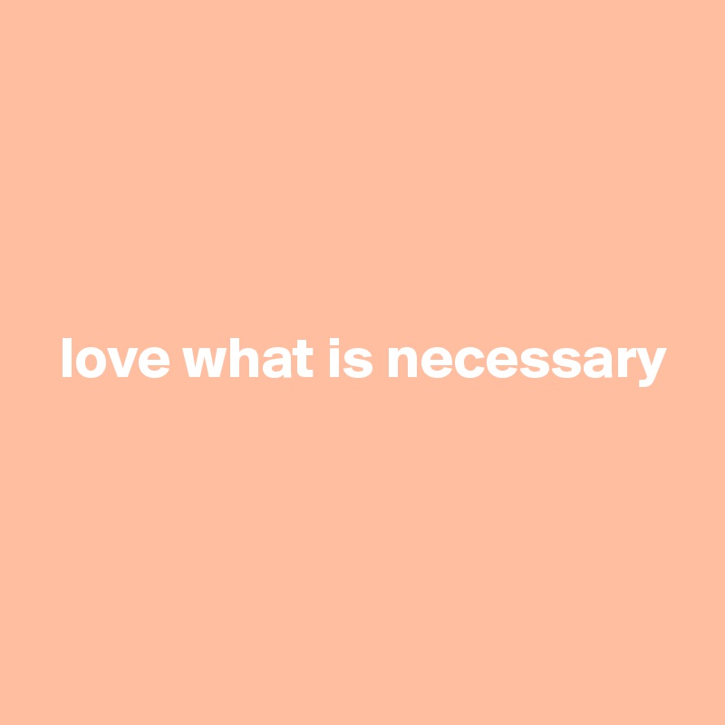 




  love what is necessary
  



