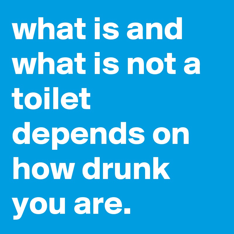 what is and what is not a toilet depends on how drunk you are.