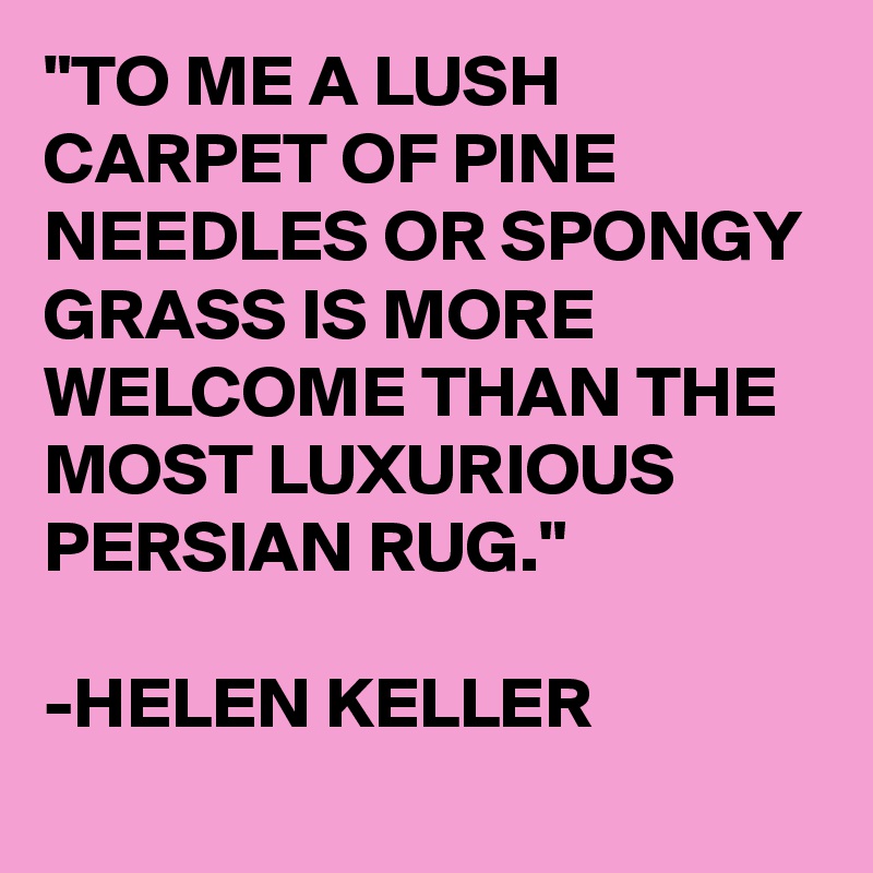 "TO ME A LUSH CARPET OF PINE NEEDLES OR SPONGY GRASS IS MORE WELCOME THAN THE MOST LUXURIOUS PERSIAN RUG."

-HELEN KELLER