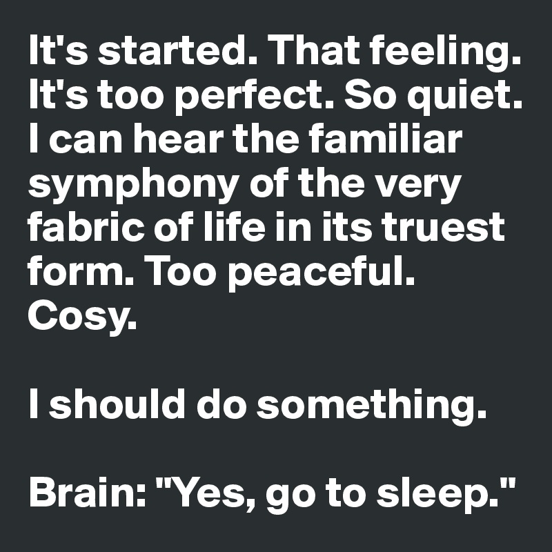 It's started. That feeling. It's too perfect. So quiet. 
I can hear the familiar symphony of the very fabric of life in its truest form. Too peaceful. Cosy. 

I should do something.

Brain: "Yes, go to sleep."