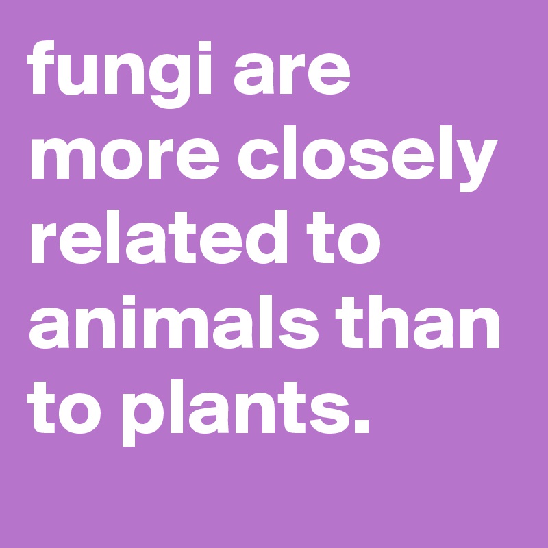 fungi are more closely related to animals than to plants.