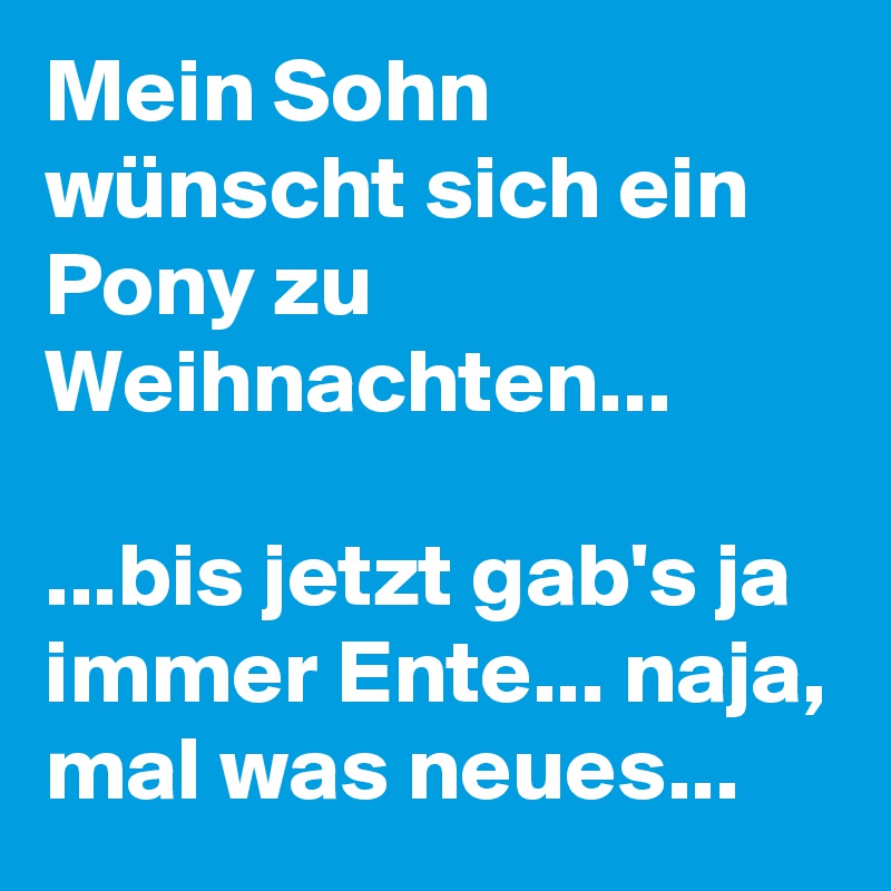 Mein Sohn wünscht sich ein Pony zu Weihnachten...

...bis jetzt gab's ja immer Ente... naja, mal was neues...