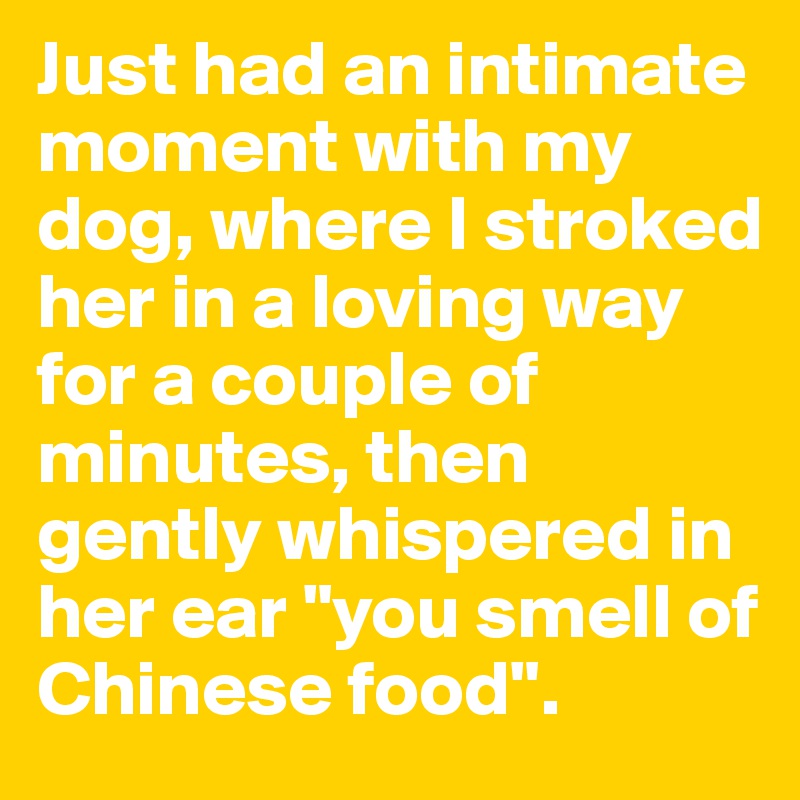 Just had an intimate moment with my dog, where I stroked her in a loving way for a couple of minutes, then gently whispered in her ear "you smell of Chinese food".