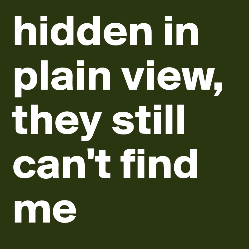 hidden in plain view, they still can't find me