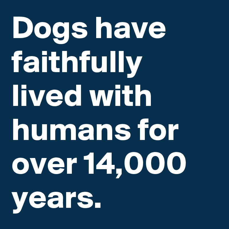 Dogs have faithfully lived with humans for over 14,000 years.