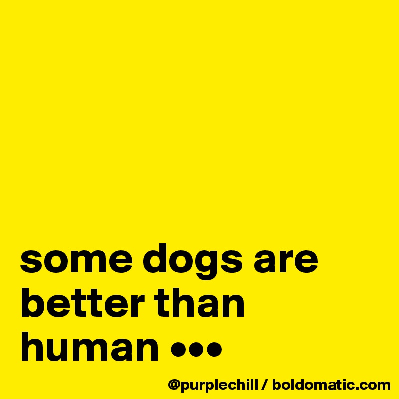 




some dogs are better than human •••