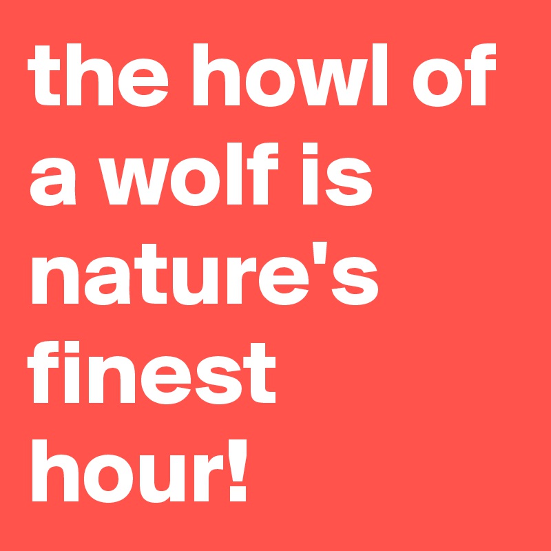 the howl of a wolf is nature's finest hour!