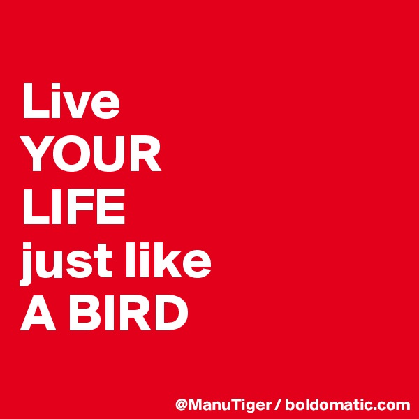 
Live 
YOUR 
LIFE 
just like 
A BIRD
