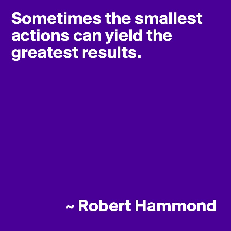 Sometimes the smallest actions can yield the greatest results.








                ~ Robert Hammond