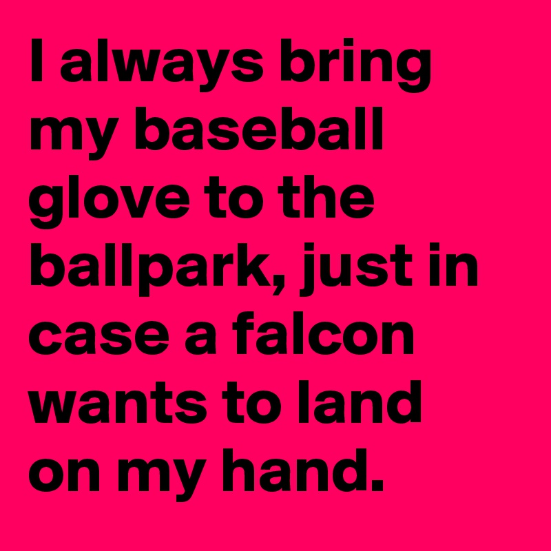 I always bring my baseball glove to the ballpark, just in case a falcon wants to land on my hand.