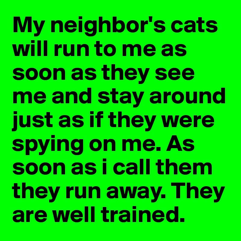 My neighbor's cats will run to me as soon as they see me and stay around just as if they were spying on me. As soon as i call them they run away. They are well trained.