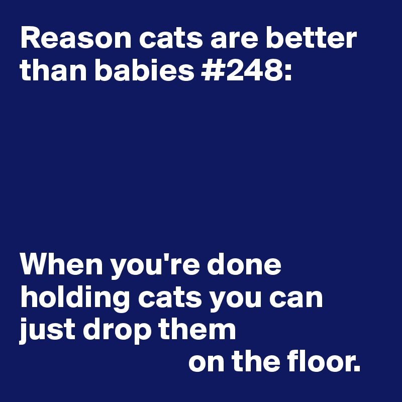 Reason cats are better than babies #248:





When you're done
holding cats you can
just drop them 
                          on the floor.