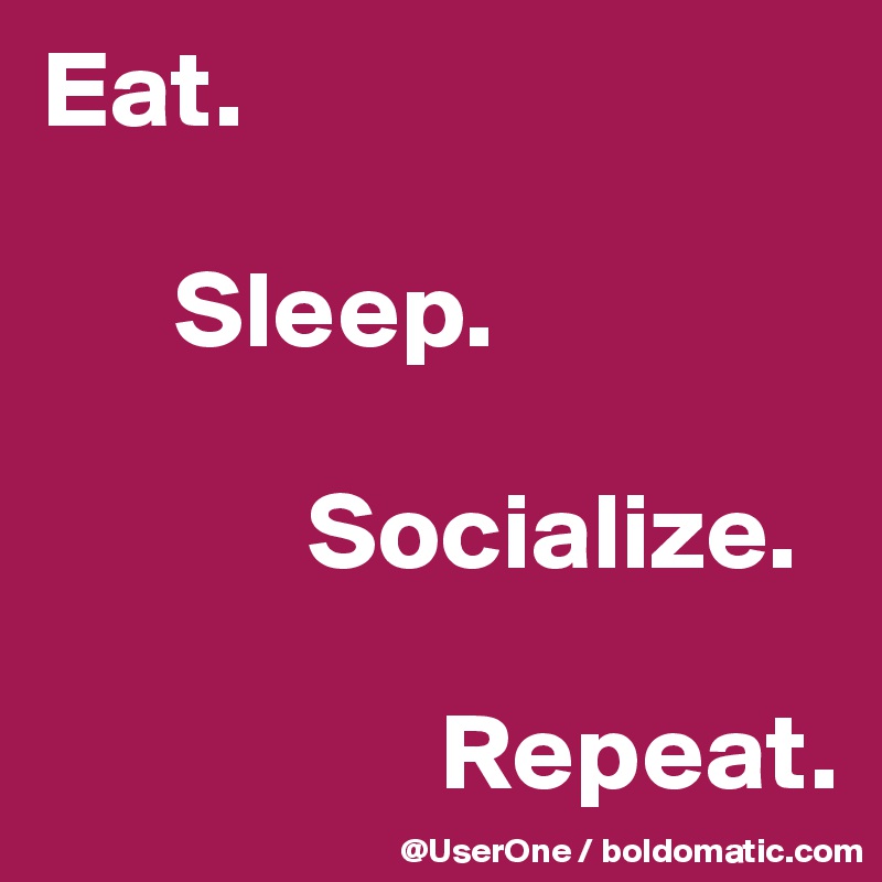 Eat.

      Sleep.

            Socialize.

                  Repeat.
