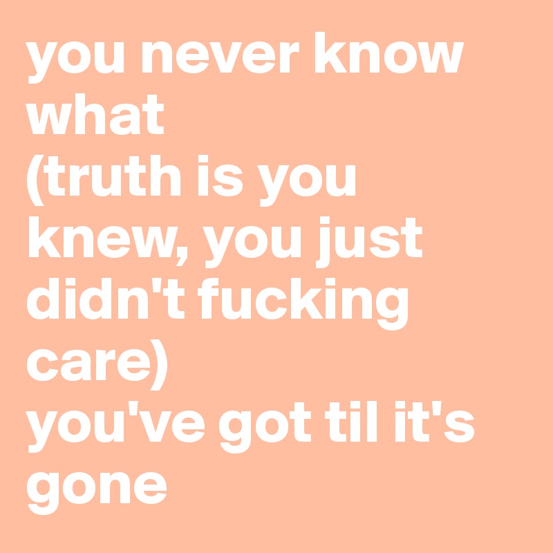you never know what 
(truth is you knew, you just didn't fucking care)
you've got til it's gone