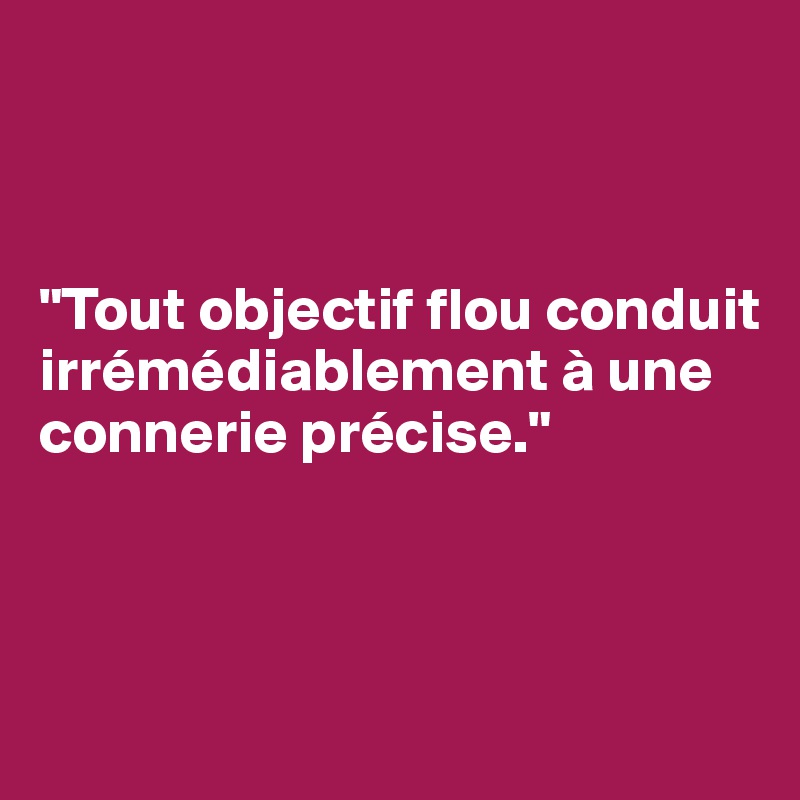 



"Tout objectif flou conduit irrémédiablement à une connerie précise."



