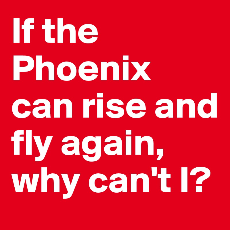 If the Phoenix can rise and fly again, why can't I?