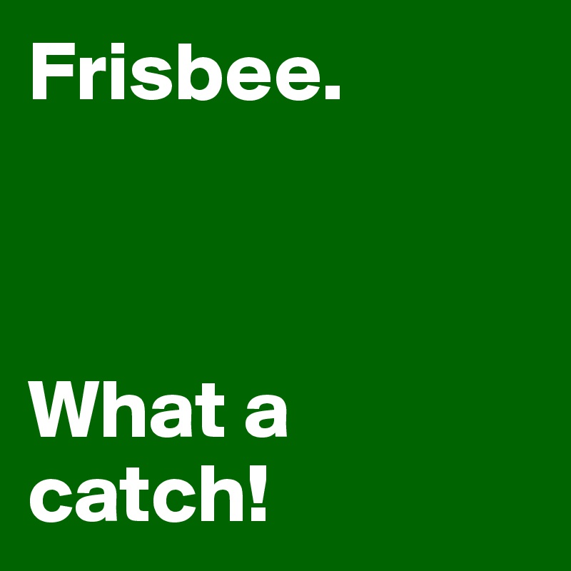 Frisbee.



What a catch!         