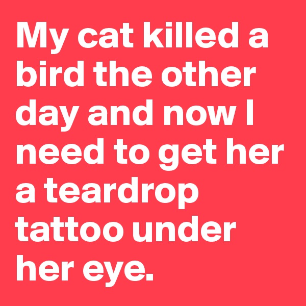 My cat killed a bird the other day and now I need to get her a teardrop tattoo under her eye.