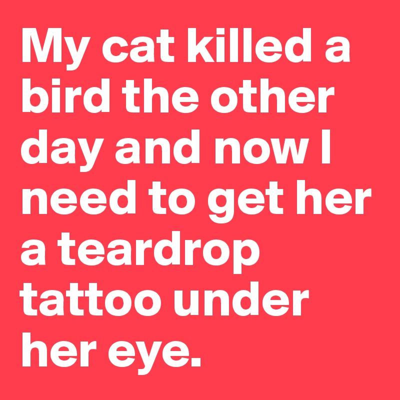 My cat killed a bird the other day and now I need to get her a teardrop tattoo under her eye.