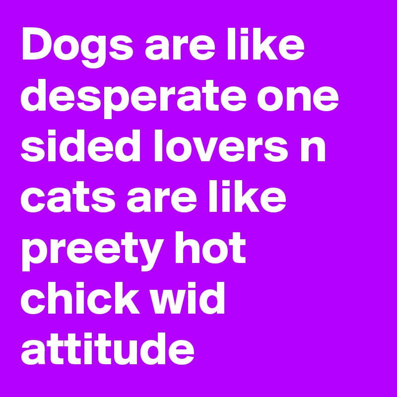Dogs are like desperate one sided lovers n cats are like preety hot chick wid attitude