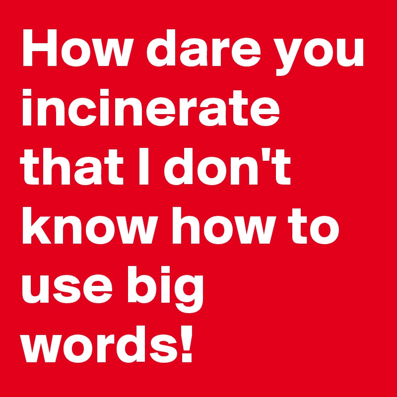 How dare you incinerate that I don't know how to use big words!