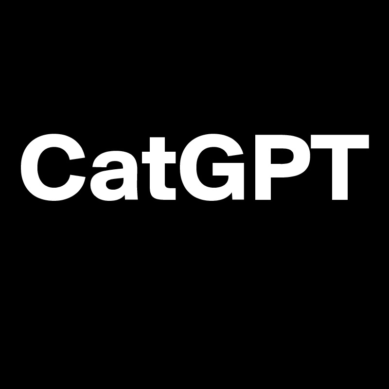 
CatGPT
