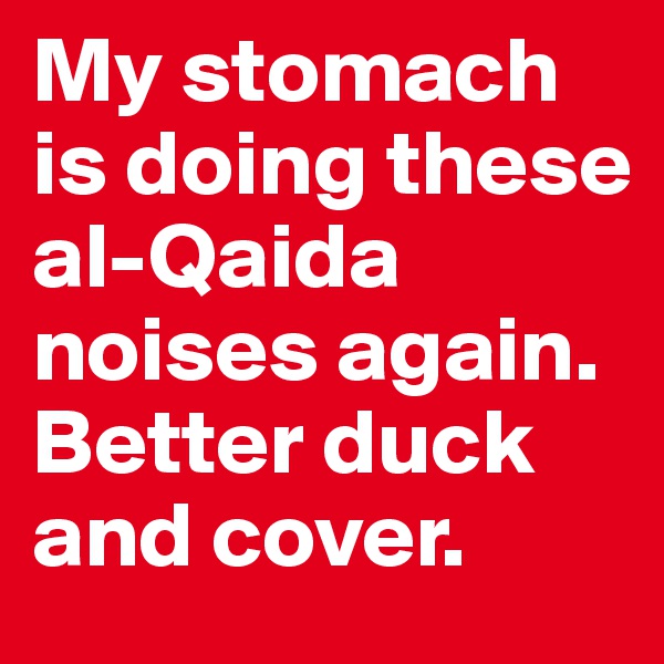 My stomach is doing these al-Qaida noises again. Better duck and cover.
