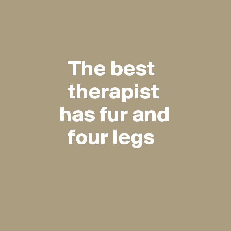 

             The best
             therapist
           has fur and
             four legs


